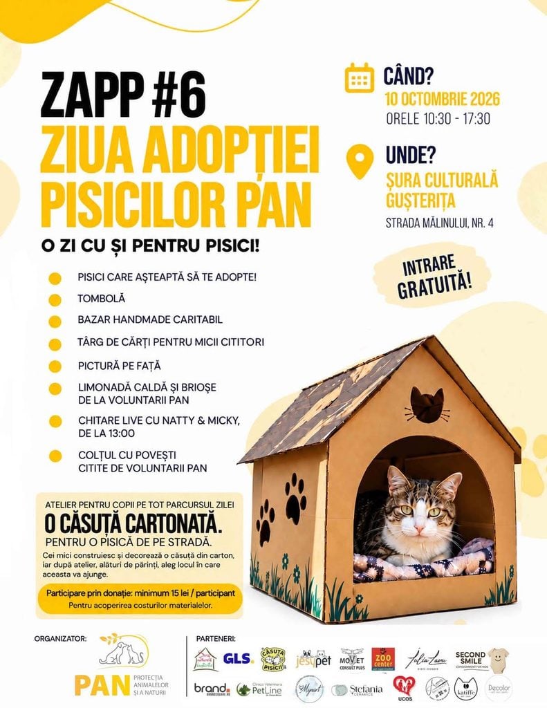 ziua adoptiei pisicile pann19