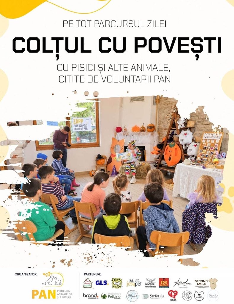 ziua adoptiei pisicile pann2