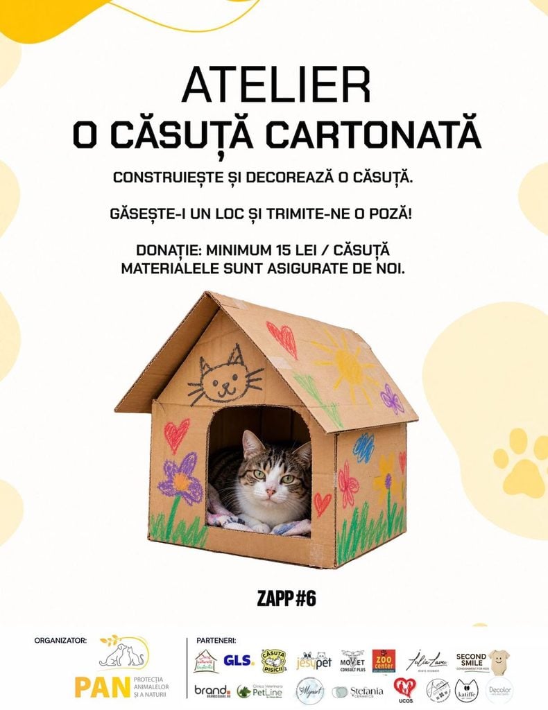 ziua adoptiei pisicile pann20